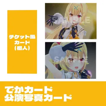 호시카와 사라 Overture 특전 빅 카드 공연 사진 카드 티켓풍 카드