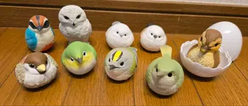 테노리 프렌즈 9개 세트