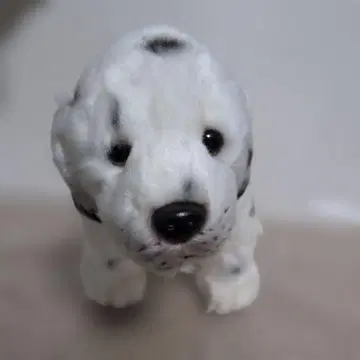 Wans Alfa 개 달마시안 원스 알파