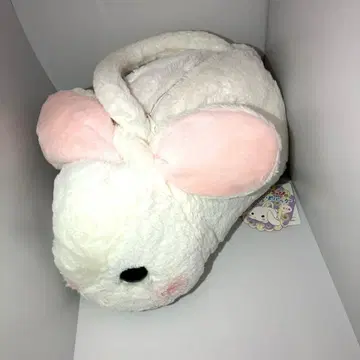 포테우사 로피 산책 백 시로피