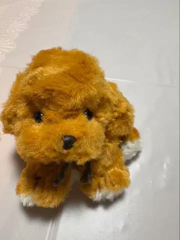 레트로 조이풀메이트 프티폰테인 골든 리트리버 강아지 죽순