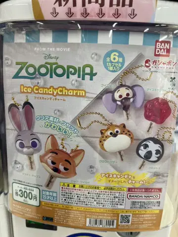 주토피아 IceCandyCharm
