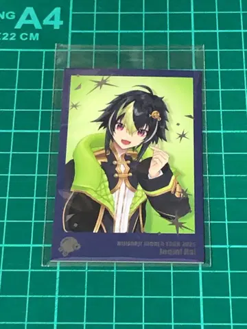 니지산지 이나미 라이 WORLD TOUR 고베 폴라로이드풍 카드