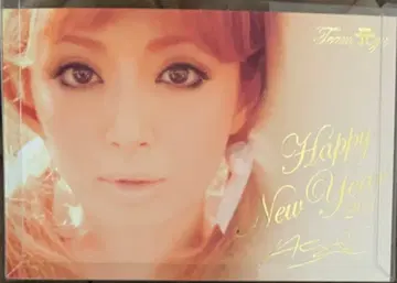 하마사키 아유미 Happy New Year 2011 엽서, 회원 혜택