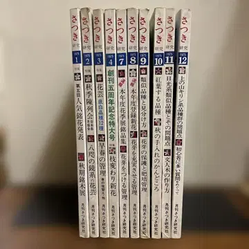 사츠키 연구 10권 세트 1975년