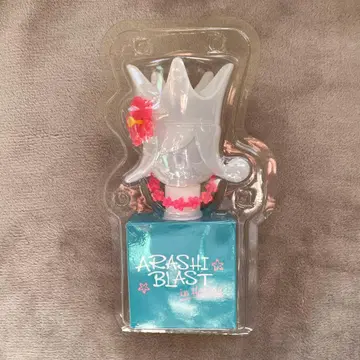 ARASHI BLAST in Hawaii 응원봉