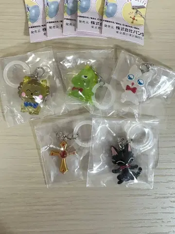 리본 메지루시 액세서리 포코타 5종