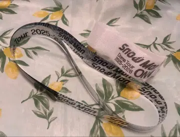 Snow Man Dome Tour 2025 낙하물 2개 세트 2