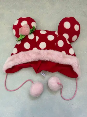 디즈니 2010 크리스마스 팬캡