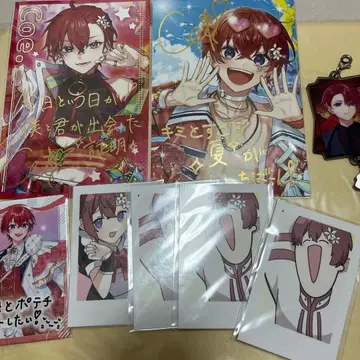 스타폴라 Coe. 묶음 판매 8점