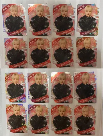 소년 닌자 모토키 와쿠 닌자 컬렉션 카드 16장 컴프