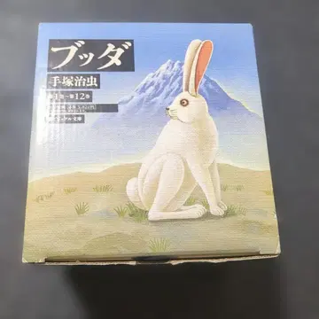 붓다 문고 전 12권 세트