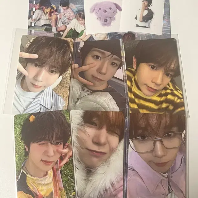 엔시티위시 료포카일괄 컬러팝팝앨범로그인콘서트엠디 시그랜덤미공포nct띠부씰