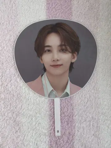 SEVENTEEN 정한 부채