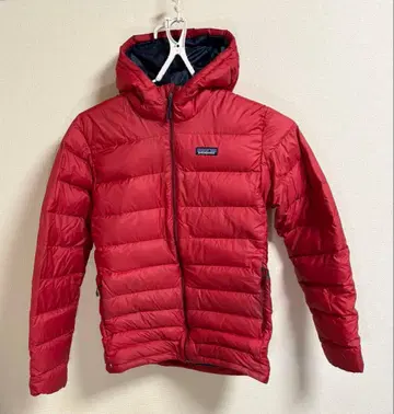 Patagonia 다운 스웨터 후디 레드