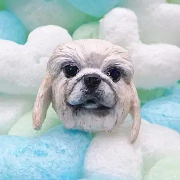 우리 아이 눈 반짝 동물 반지 (페키니즈 / 화이트) [프리 사이즈]