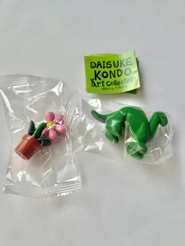 DAISUKE KONDO art collection 꽃 공룡
