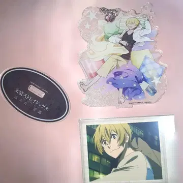 문호 스트레이독스 미야자와 겐지 세트