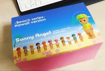 소니 엔젤 하와이