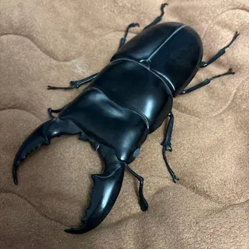 오오쿠와가타 피규어 블랙