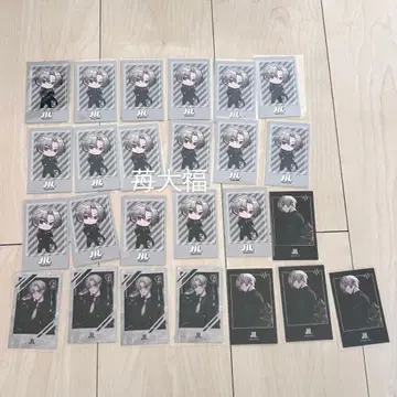 Element Sicks JIL 폴라로이드풍 트레이딩 카드 25점