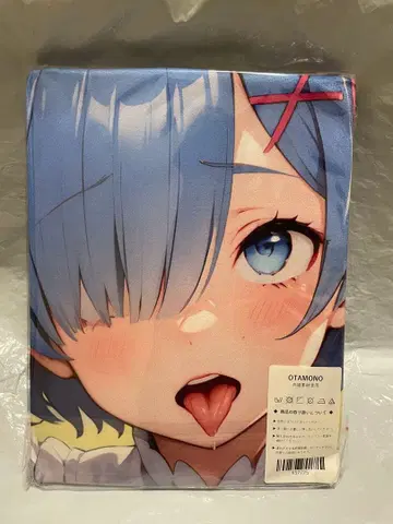 52725 거 리제로 렘