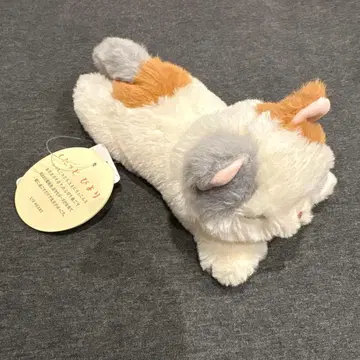 쿠타토토 비요리 마스코트