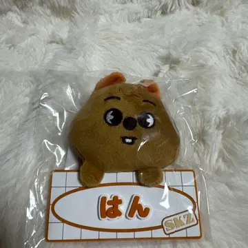 straykids 네임 백참 한쿼카