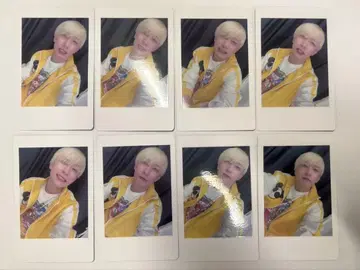 팬더드래곤 요우타군 하피카