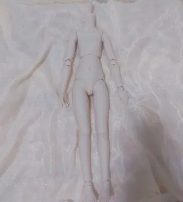 MDD 베이스 바디 f3(에프큐브) 2.0 바디 세미 화이트