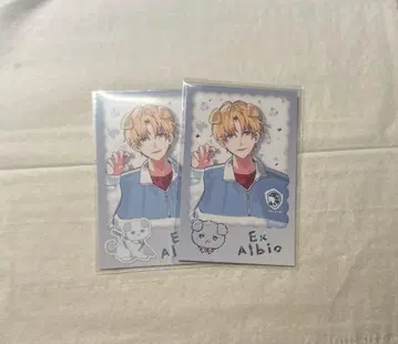 엑스알비오 폴라로이드