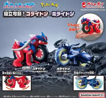 포켓몬스터 조립 가동! 코라이돈 미라이돈 전 2종 세트