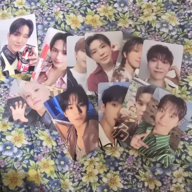 세븐틴 포토카드 모음