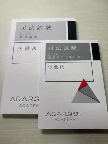 아갈루트 종합강의 2026 노동법, 논증집