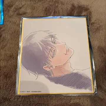 주술회전 주술회전전 회옥옥절 블라인드 미니 색지 후시구로 토우지