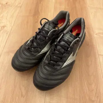 미즈노 모렐리아 DNA 26cm