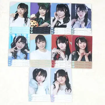 노이메 본다 주유키 브로마이드 10컴프 묶음 판매