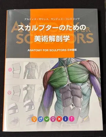 스컬프터를 위한 미술 해부학