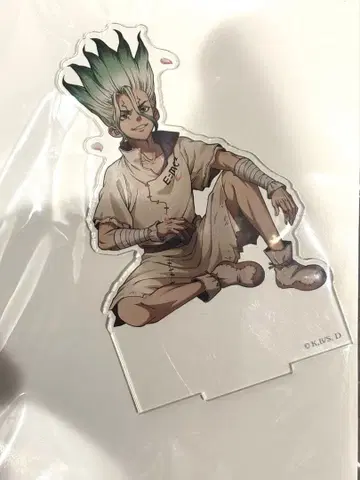 Dr.STONE 이시가미 센쿠 꽃구경 마루이 아크릴 스탠드