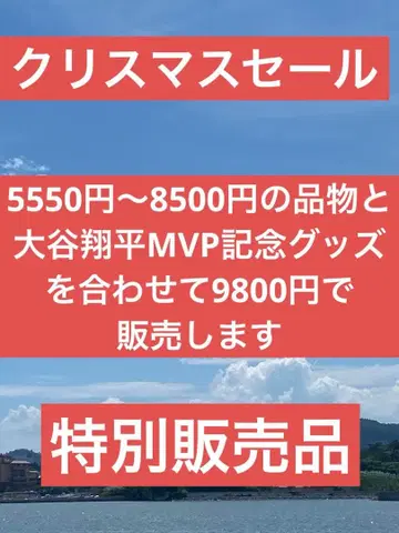 일본산 명차 컬렉션 1/24 특별 판매 상품