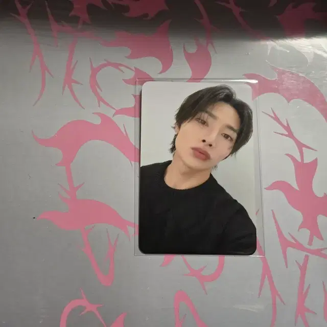 스트레이키즈 두잇 팝업 럭드 아이엔 포카 미개봉앨범