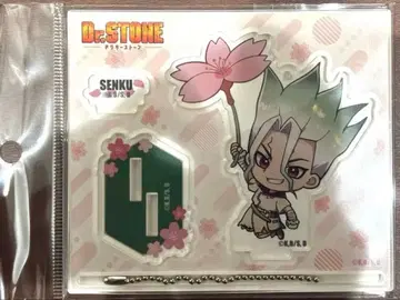 Dr STONE 닥터스톤 센쿠 아크릴 스탠드 아크릴 키링 꽃놀이