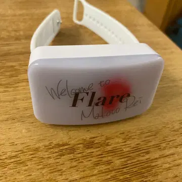 레이 마코토 Flare 연동형 블레스라이트