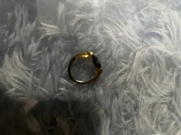 Harry Potter 분 반지