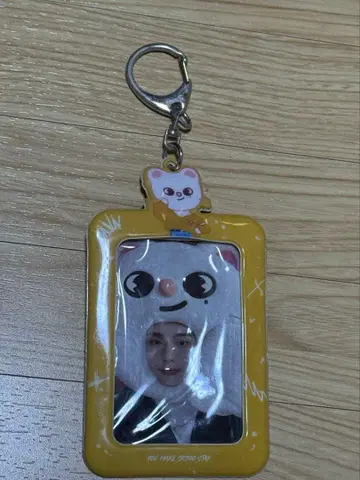 straykids 현진 지니레트 트레이딩 카드 케이스 포함