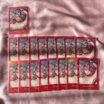 악마 집사와 검은 고양이 아쿠네코 벨리안 여름 Summer 파샤코레 금박