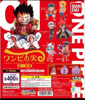 원피스 열매 제1해전 컴프 세트