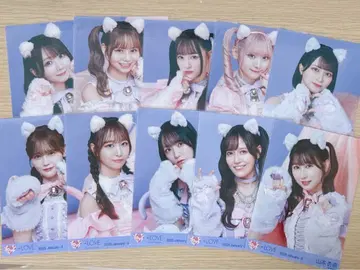 이코럽 브로마이드 고양이