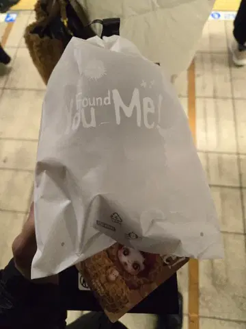 SKULLPANDA You Found Me!