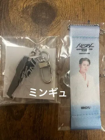 SEVENTEEN NEW WORLD TOUR JAPAN 캡슐 토이